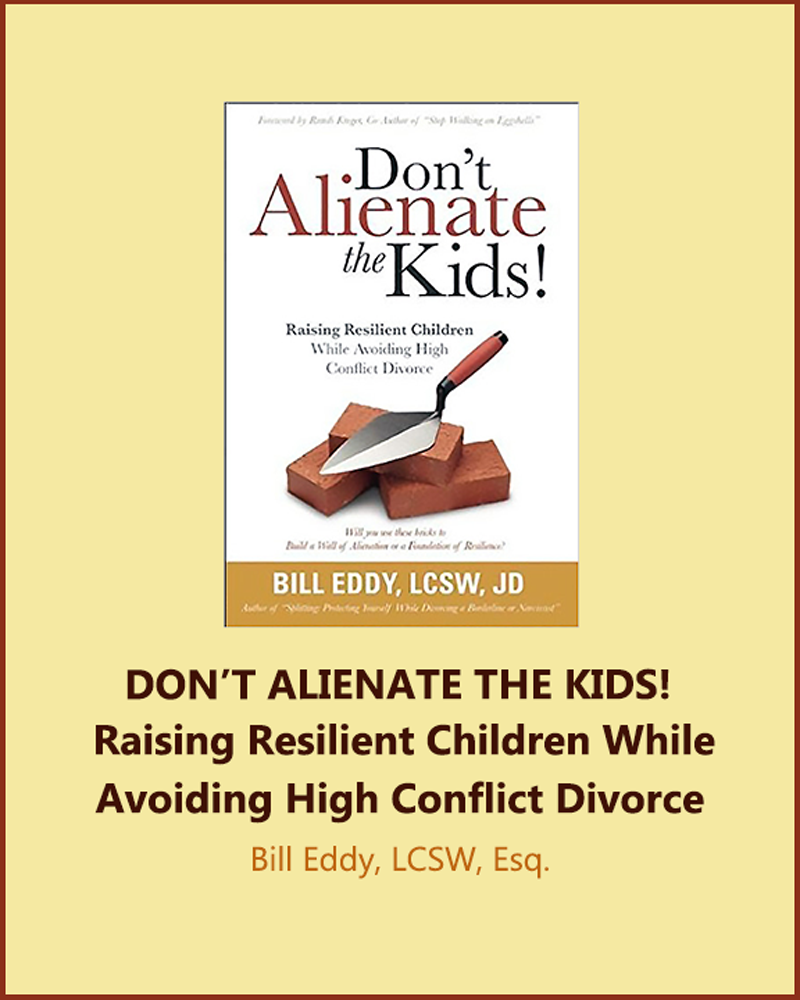 Don't-Alienate-the-Kids-Book