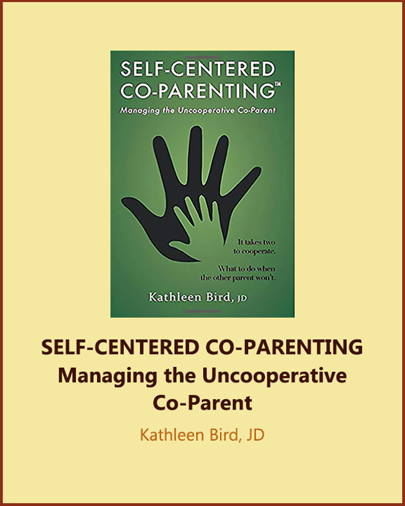 Self-Centered-Co-Parenting-Book