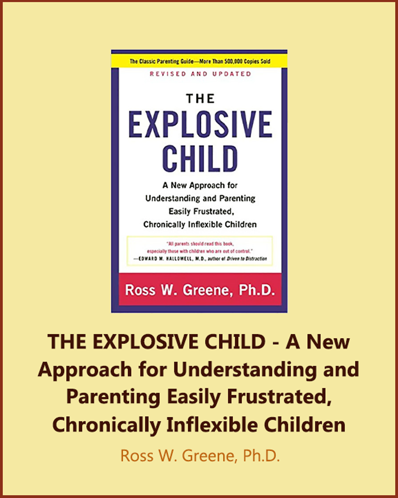 The-Explosive-Child-Book