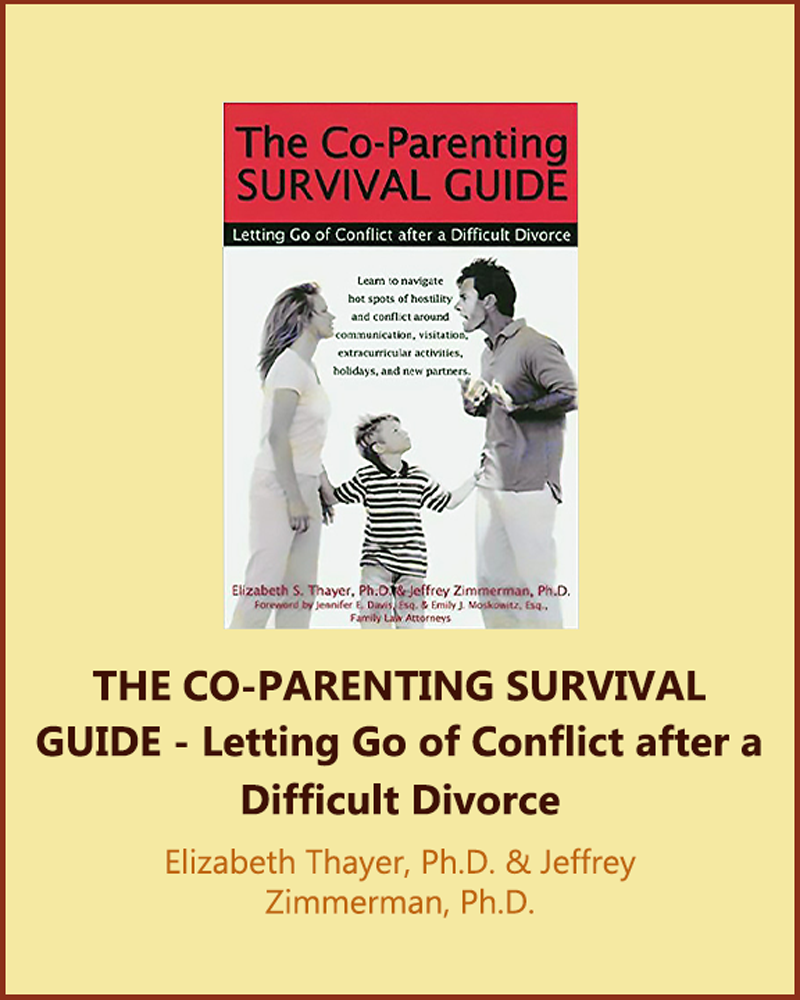 co-parenting-book